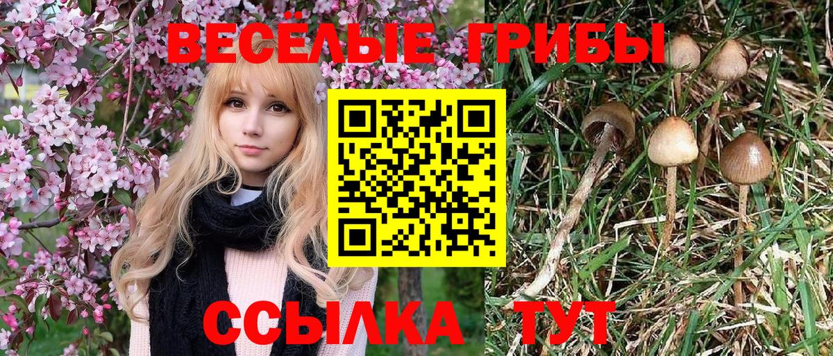 Калуга  Галлюциногенные грибы Psilocybine cubensis  Псилоцибиновые грибы мухоморы  Вход с VPN 